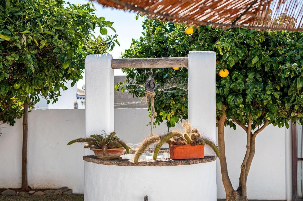 Cortijo Villa La Dehesa Conil De La Frontera Eksteriør billede